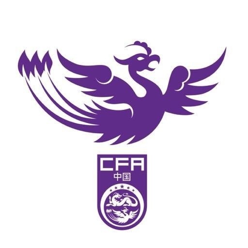  全運(yùn)會女足成年組資格賽分組：北京、江蘇同組，上海、湖北同組